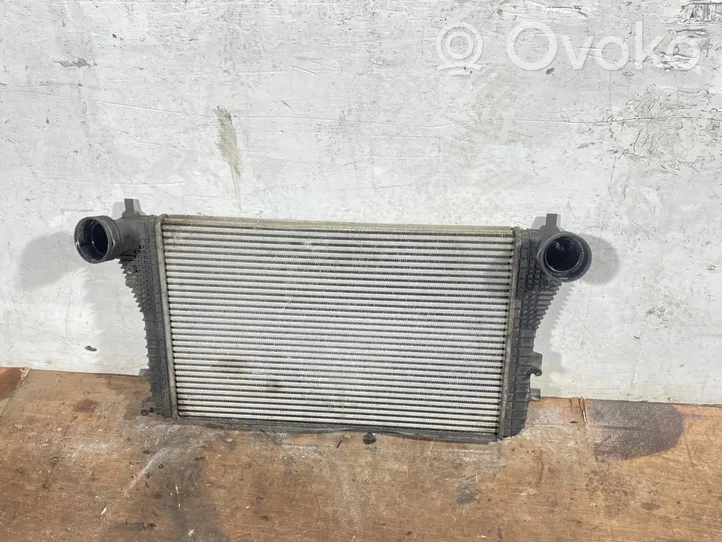 Volkswagen Jetta V Intercooler radiator 1K0145803L