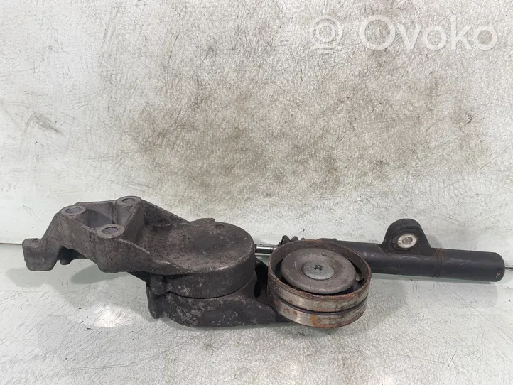 Skoda Octavia Mk2 (1Z) Lichtmaschine Riemenspanner Spannrolle Keilrippenriemen Keilriemen 038903315c