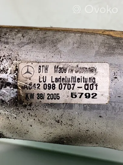 Mercedes-Benz E W211 Välijäähdyttimen letku A6420980707q01