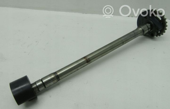 Audi A4 S4 B8 8K Balance shaft 06E103273AC