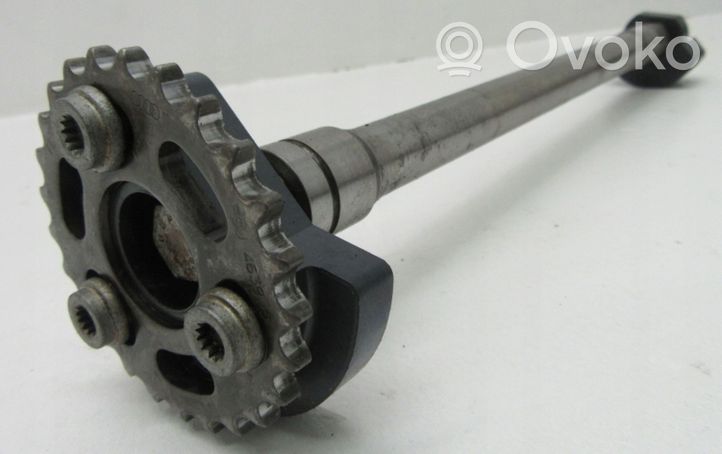 Audi A4 S4 B8 8K Balance shaft 06E103273AC