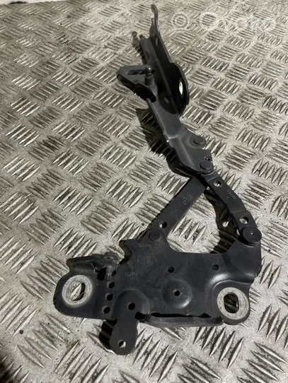 BMW 4 F32 F33 Cerniere del vano motore/cofano 139896