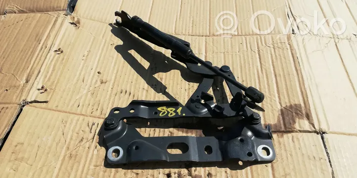 BMW 7 F01 F02 F03 F04 Cerniere del vano motore/cofano 7184190