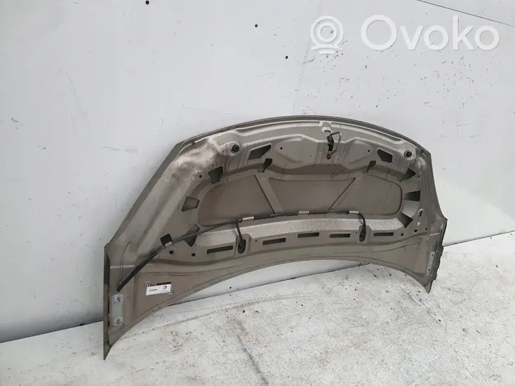 Citroen C3 Engine bonnet/hood 