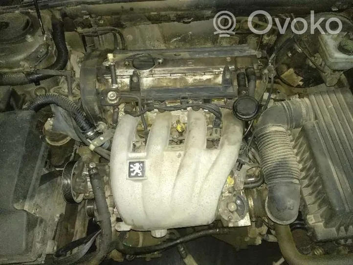 Peugeot 406 Motore RFV