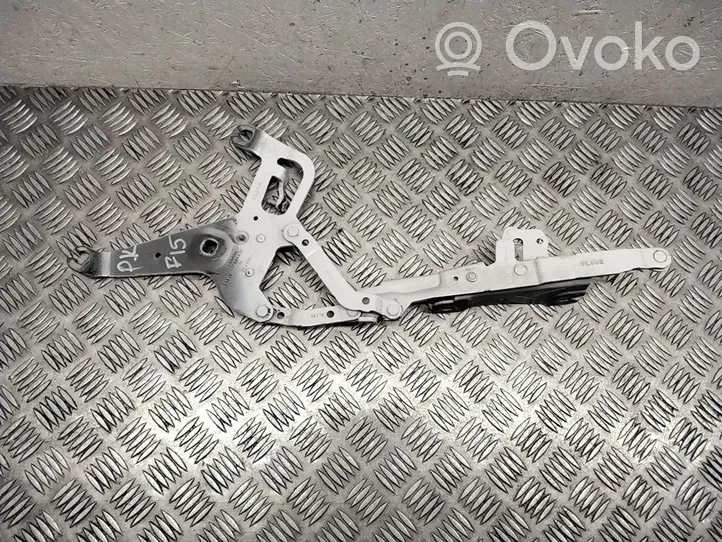 BMW X5 F15 Cerniere del vano motore/cofano 17205310