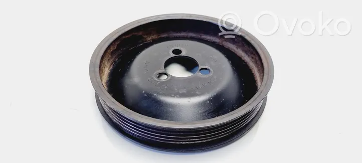 Volkswagen Crafter Power steering pump pulley 074121031