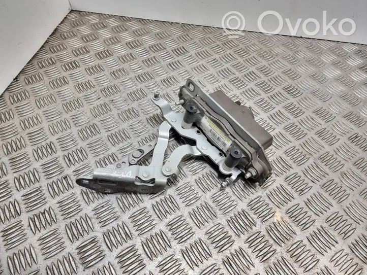 Mercedes-Benz E W212 Cerniere del vano motore/cofano A2129066301