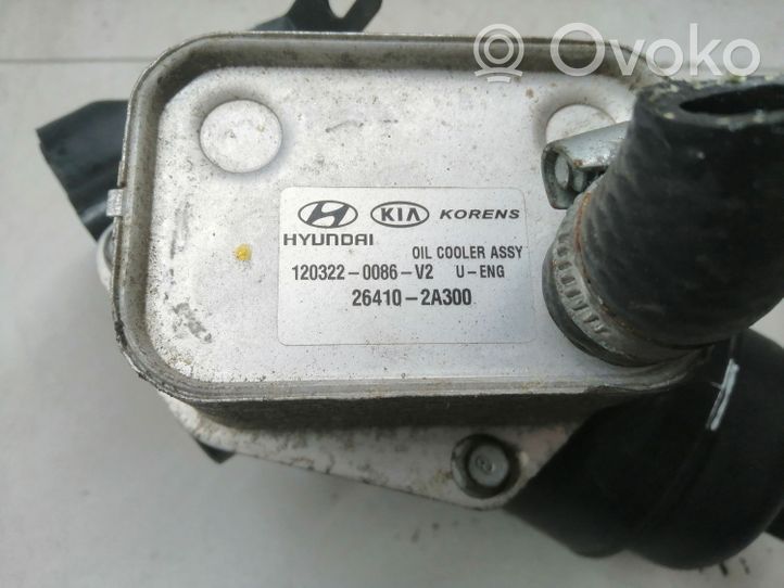 Hyundai i30 Supporto di montaggio del filtro dell’olio 264102A300