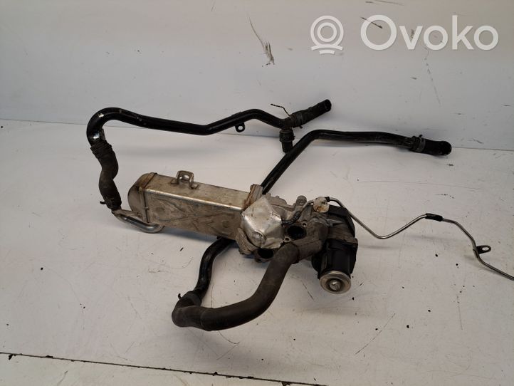 Volkswagen Caddy Valvola di raffreddamento EGR 232113846903L131512