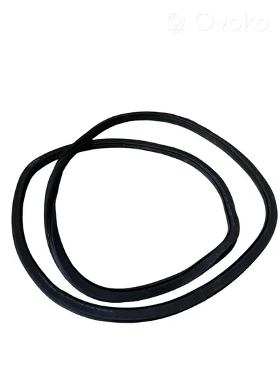 Volkswagen PASSAT B8 Rear door rubber seal (on body) 3G0867914K