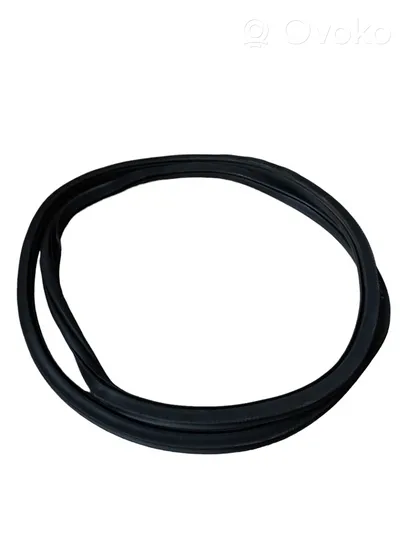 Volkswagen PASSAT B8 Rear door rubber seal (on body) 3G0867913H