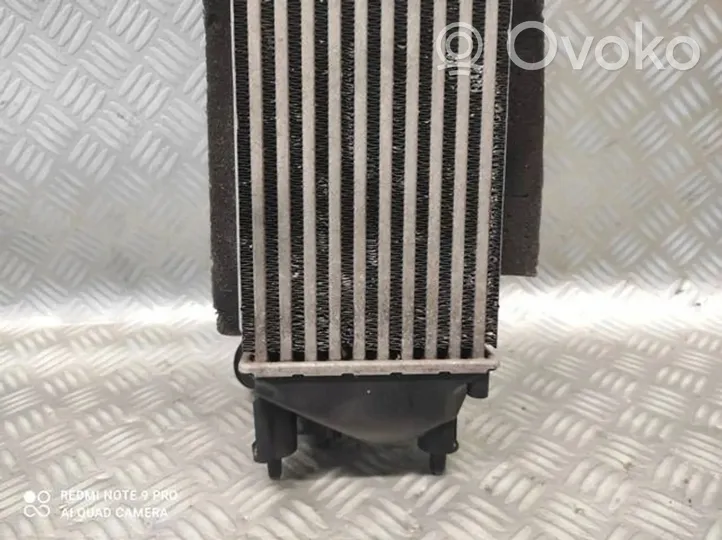 Ford Fiesta Chłodnica powietrza doładowującego / Intercooler 