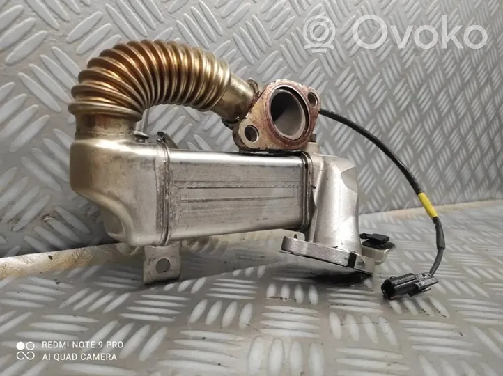 Opel Vivaro EGR valve cooler 