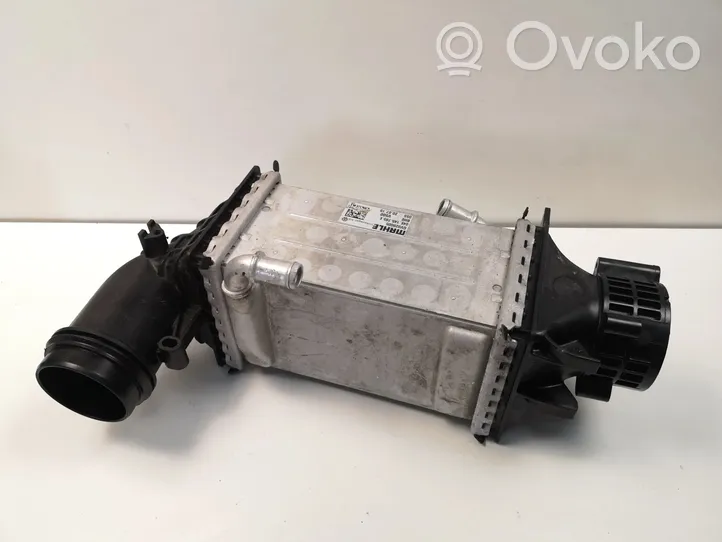 Volkswagen Tiguan Chłodnica powietrza doładowującego / Intercooler 04E145785E