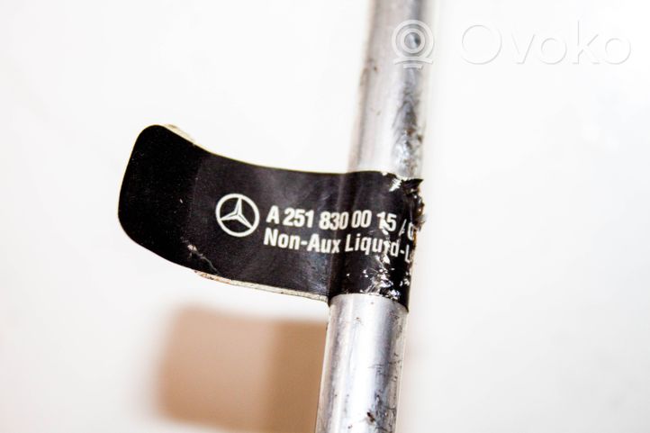 Mercedes-Benz R W251 Tubo flessibile aria condizionata (A/C) a2518300015