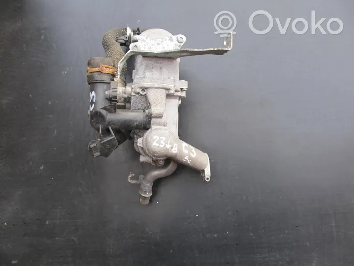 Citroen C3 Picasso Zawór EGR 5056390300