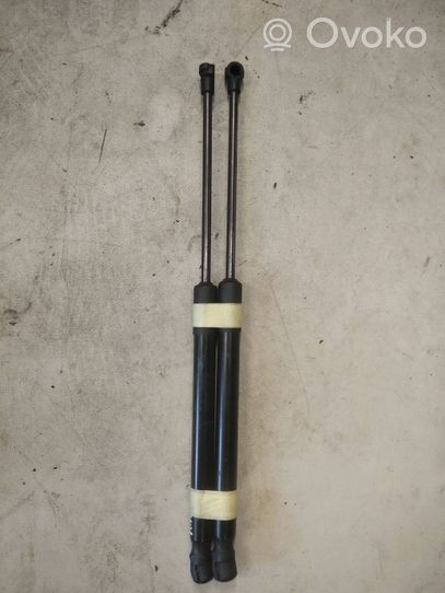 Renault Kadjar Tailgate/trunk strut/damper 904516026R