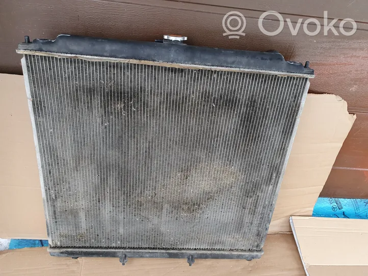 Nissan Pathfinder R51 Dzesēšanas šķidruma radiators ETP11398