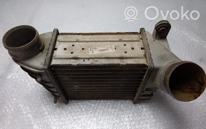 Audi TT Mk1 Chłodnica powietrza doładowującego / Intercooler 8L9145806