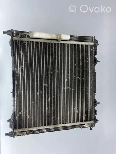 Land Rover Range Rover Sport L494 Kit Radiateur CPLA19E839Ae