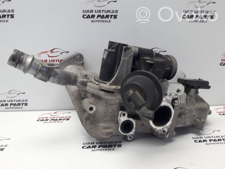 Ford Fiesta EGR-venttiili 50563902