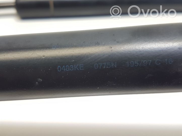 Volkswagen Sharan Ammortizzatore portellone posteriore/bagagliaio 0483KE0775N