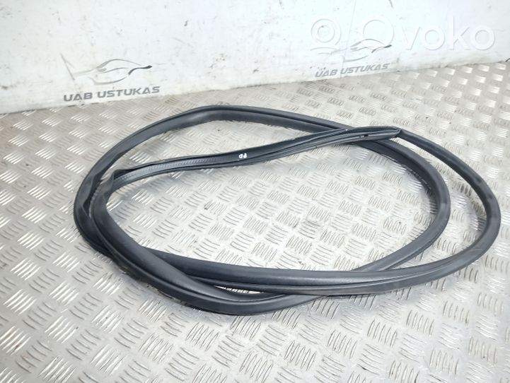 Mitsubishi Outlander Front door rubber seal 