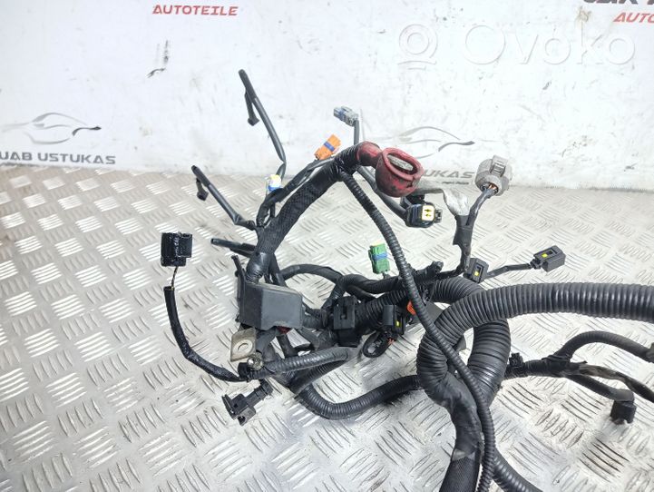 Nissan Qashqai Variklio instaliacija 24011JD07C