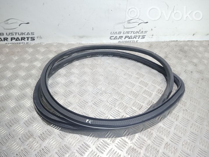 Opel Insignia A Front door rubber seal 