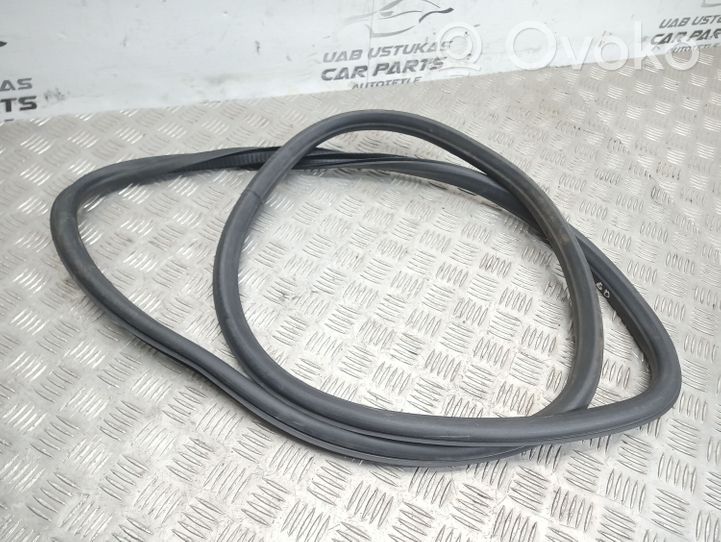 Opel Insignia A Rear door rubber seal (on body) 