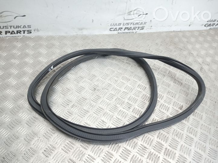 Opel Insignia A Rear door rubber seal (on body) 