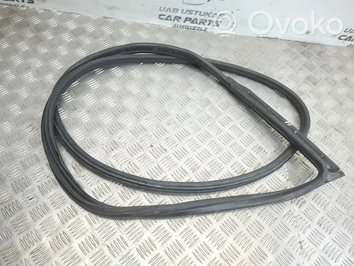 BMW 1 E82 E88 Front door rubber seal 