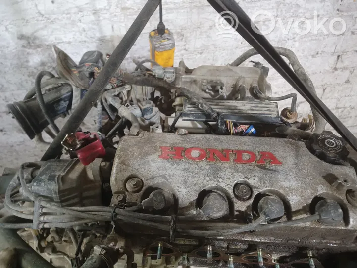 Honda Civic Motor D15Z6