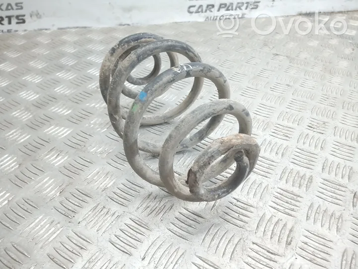 Volkswagen PASSAT B5.5 Rear coil spring 