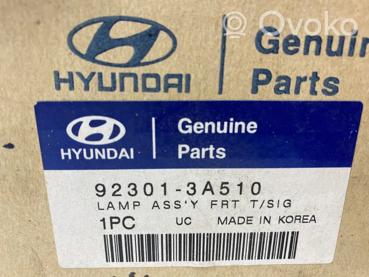 Hyundai Trajet Priekinis posūkio žibintas 923013A510