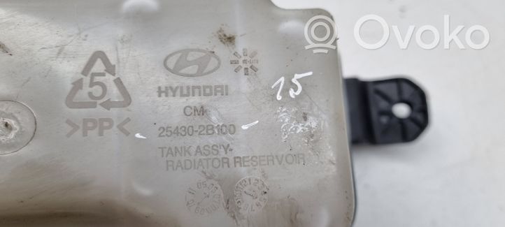 Hyundai Santa Fe Aušinimo skysčio išsiplėtimo bakelis 254302B100