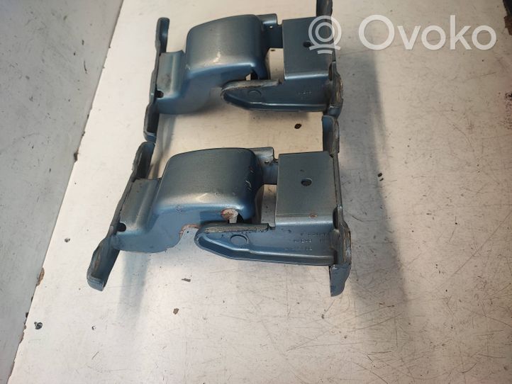 Renault Trafic II (X83) Set di cerniere portiera posteriore 312304K