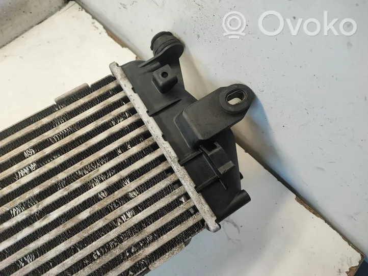 Nissan Primastar Chłodnica powietrza doładowującego / Intercooler 8200411160C