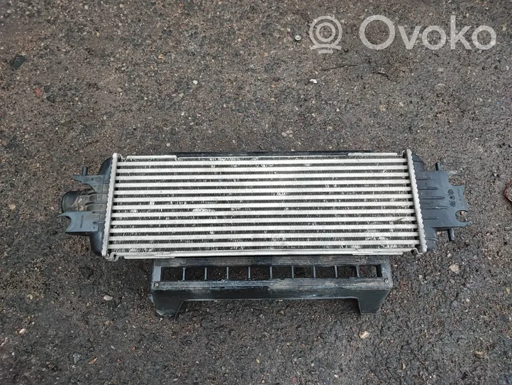 Opel Vivaro Radiatore intercooler 8200219497