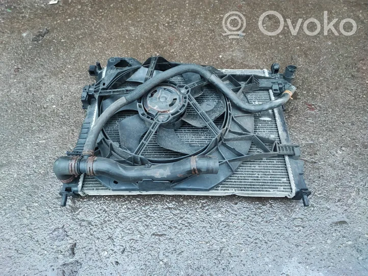 Renault Trafic II (X83) Coolant radiator 8200411166