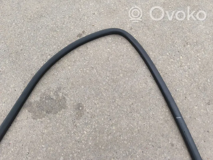 Volkswagen Multivan T5 Front door rubber seal 