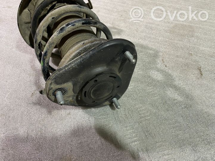 Toyota C-HR Front shock absorber with coil spring 48520F4021