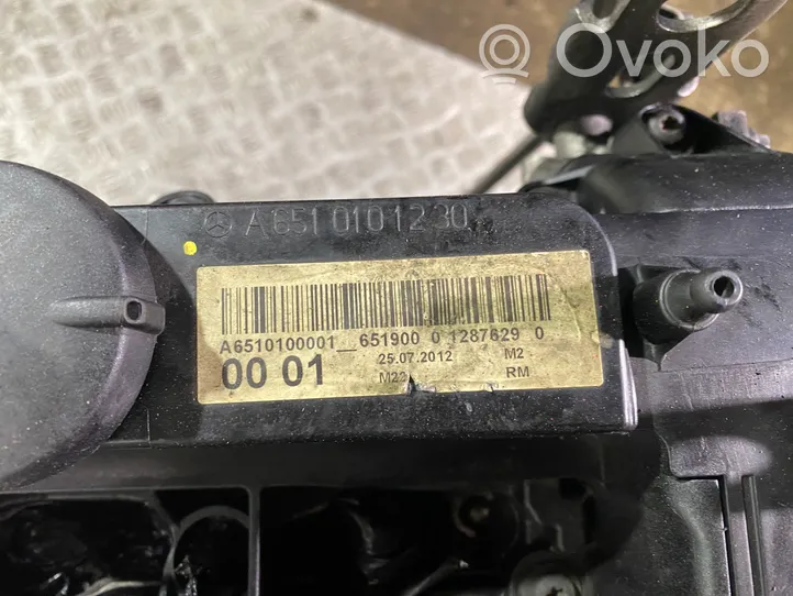 Mercedes-Benz C W204 Motor 651911