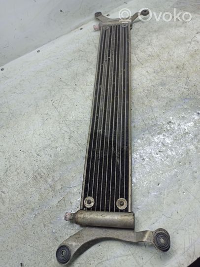 Volkswagen Touareg I Radiateur 