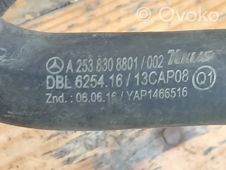 Mercedes-Benz E W238 Variklio aušinimo vamzdelis (-ai)/ žarna (-os) A2538308801