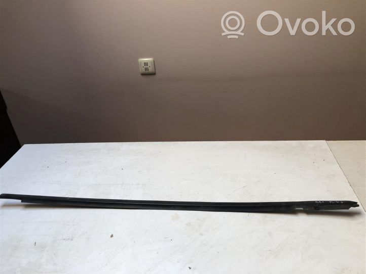 Volkswagen PASSAT B5.5 Rubber seal front door (on door) 