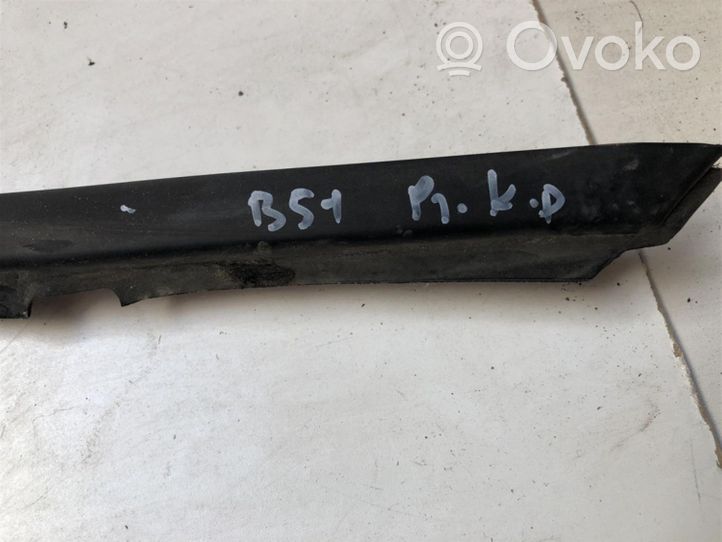 Volkswagen PASSAT B5.5 Rubber seal front door (on door) 