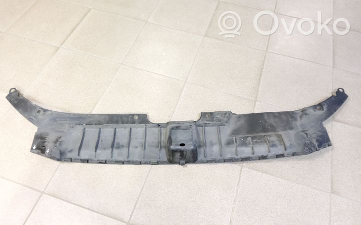 Audi Q5 SQ5 Garniture de radiateur 8R0807081