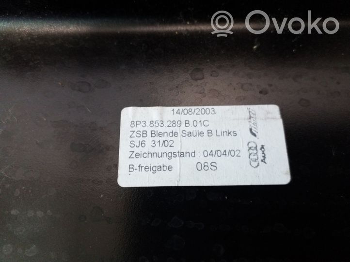 Audi A3 S3 8P Kita slenkscių/ statramsčių apdailos detalė 8P3853289B